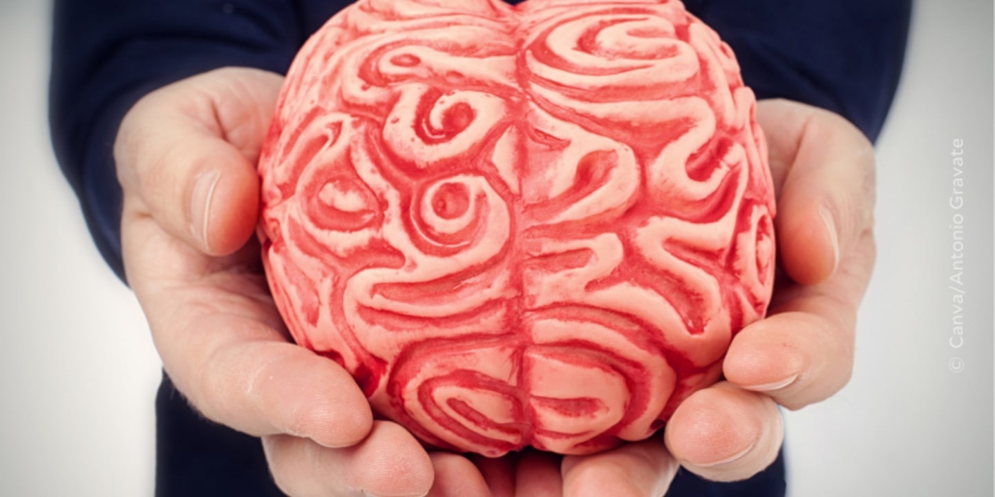 Brain 100